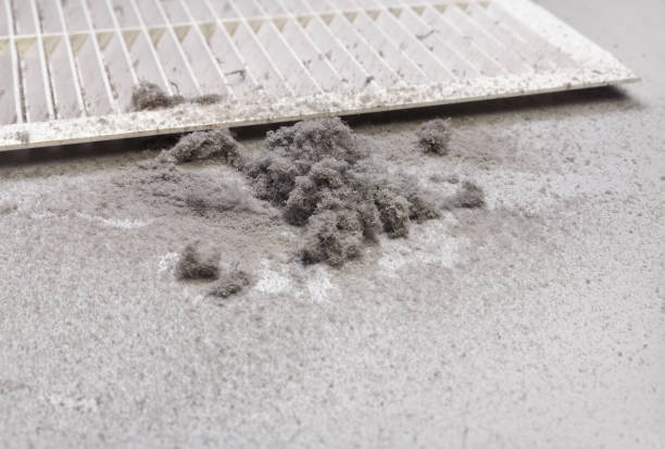 Best Affordable Air Duct Cleaning  in Oak Hill, FL
