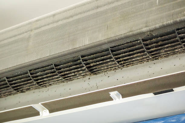 Best General Air Duct Cleaning  in Oak Hill, FL